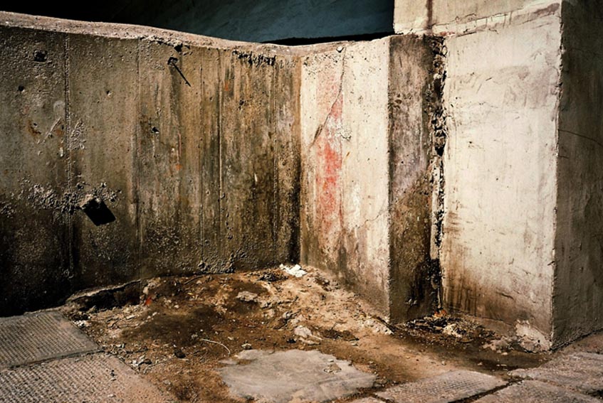 Anthony Lam_Untitled from eat bitterness series 2006